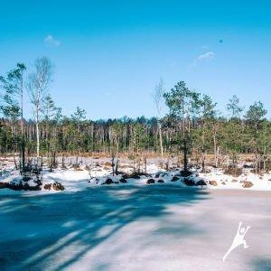 Per sodybas Gitėnų miško takais (27 km) 0