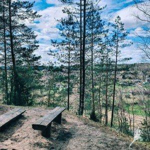 Neries skardžiais ir atodangomis (10 km) 1