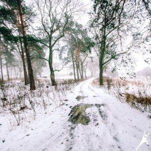 Nevėžio pakrantėmis link Nevėžninkų dvaro liekanų (8 km) 3