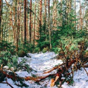 Neatitraukiant akių nuo Skarbelio ir Antavilio ežerų (4 km) 2