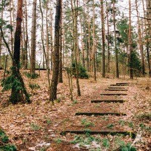 Miško takais per Šventosios baseiną (31 km) 1