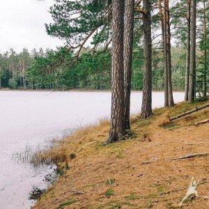 Minčios lobių beieškant (23 km) 3