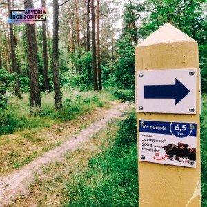 Kalotės sveikatos takas (5 km) 1