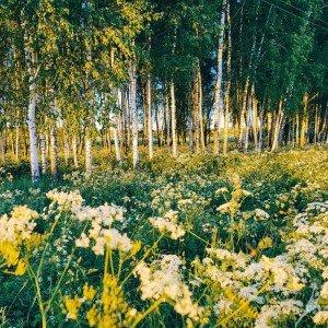 Kazio Pakšto vaikystės keliais Užpaliuose (19 km) 1