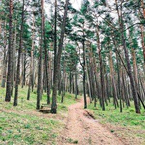 Dideli iššūkiai Mažojoje Lietuvoje (8 km) 2