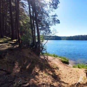 Palei paslaptingą Ilgio ežerą link Vidiškių (13 km) 3