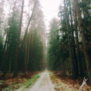 Druskų miško takais (17 km) 1