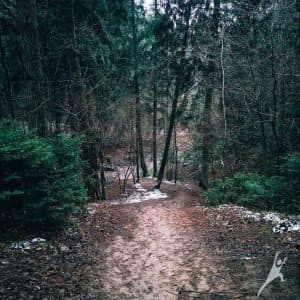 (Ne)atrasta Kleboniškio miško pusė (13 km) 2