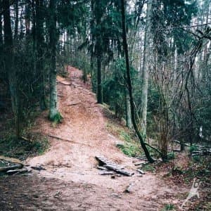 (Ne)atrasta Kleboniškio miško pusė (13 km) 1