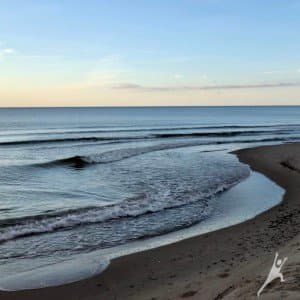 „Nidos banga“: atostogos gamtos apsuptyje (18 km) 2