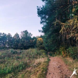 Miško takeliais nuo Fabijoniškių iki Bajorų (5 km) 3