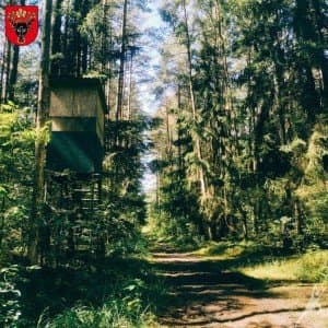 Partizanų takais Žadeikių miške (3 km) 1
