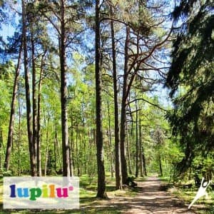 Pasivaikščiojimas tėveliams ir vaikams su „Lupilu“ Klaipėdoje (4 km) 3