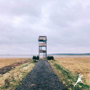 Stebint paukščius Nemuno deltoje (19 km) 3