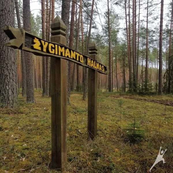 Žygimantiškių miško takais (15 km)