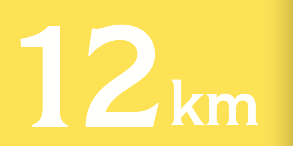 TrenkTuras: Žaliosios sostinės kalėdinis žygis Vilniuje'26