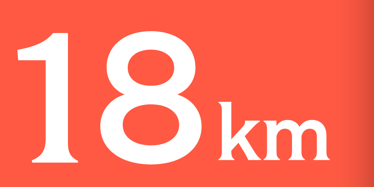 TrenkTuras: Žaliosios sostinės kalėdinis žygis Vilniuje'26