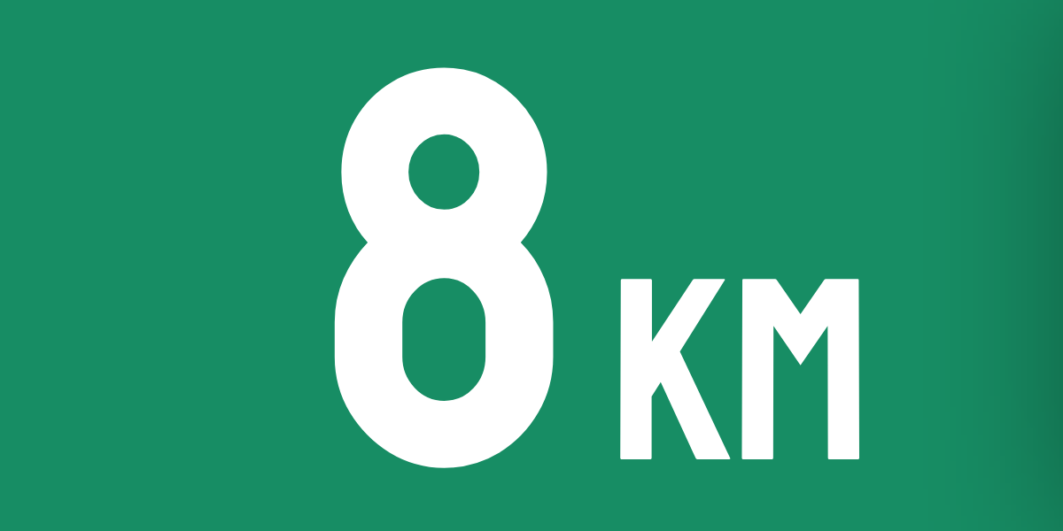 TrenkTuras: Druskininkų žygis'26