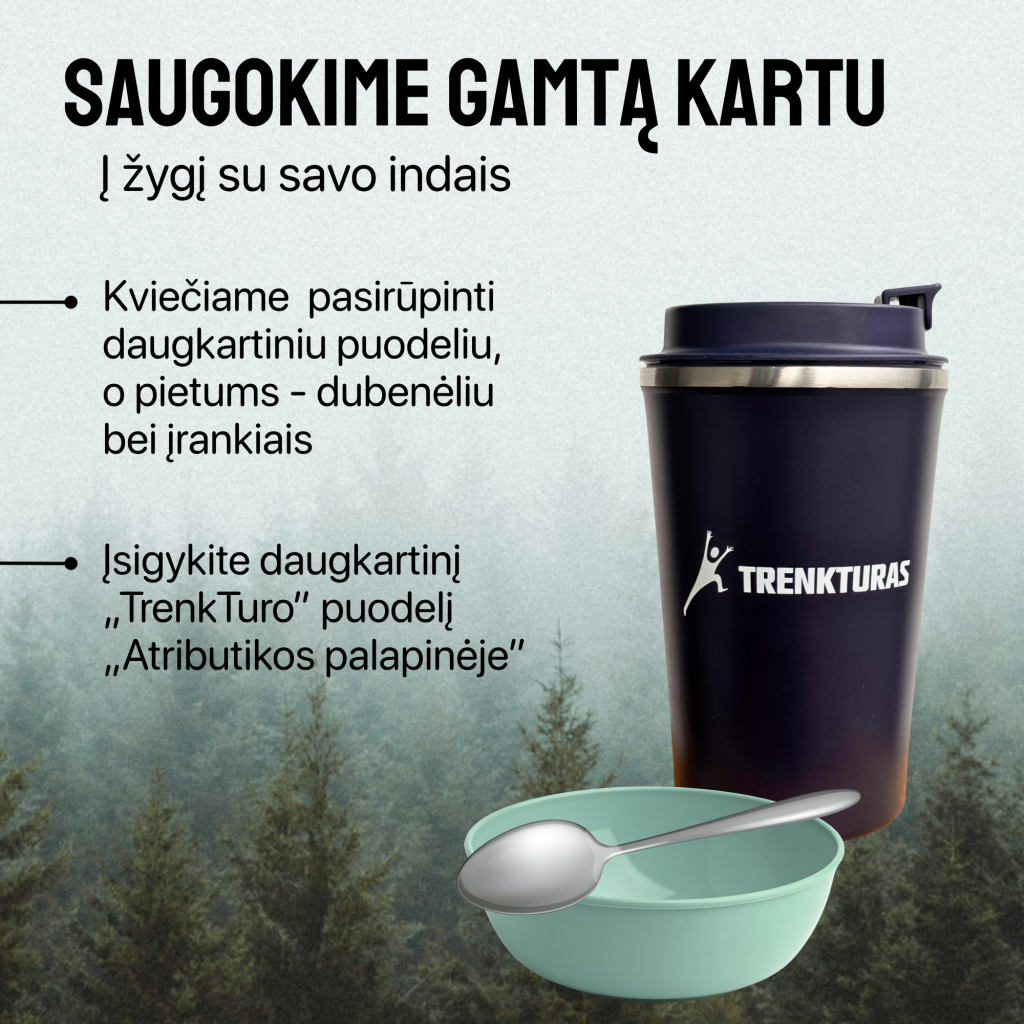LT WEB indai ikona nauja